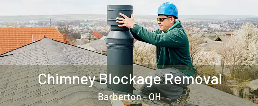  Chimney Blockage Removal Barberton - OH