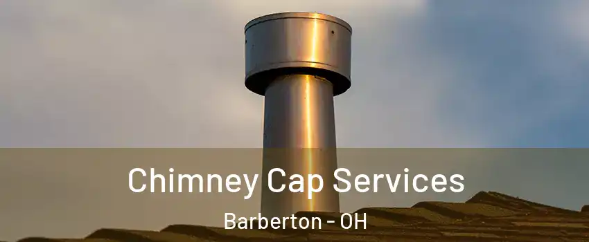  Chimney Cap Services Barberton - OH