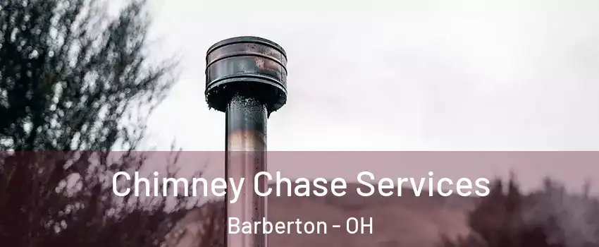  Chimney Chase Services Barberton - OH