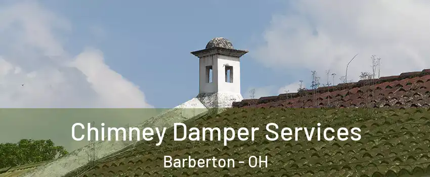  Chimney Damper Services Barberton - OH