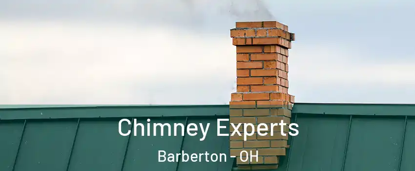  Chimney Experts Barberton - OH