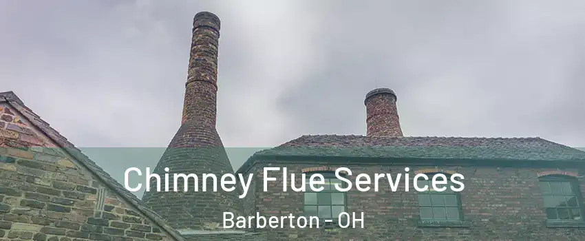  Chimney Flue Services Barberton - OH