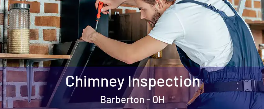  Chimney Inspection Barberton - OH