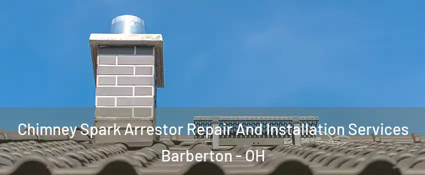  Chimney Spark Arrestor Repair And Installation Services Barberton - OH