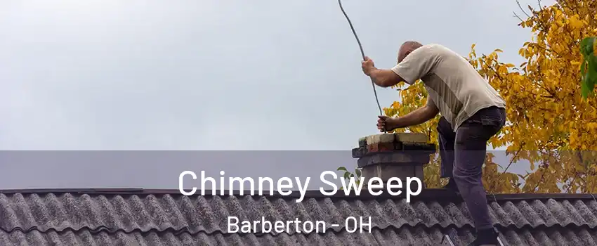  Chimney Sweep Barberton - OH