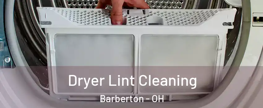  Dryer Lint Cleaning Barberton - OH