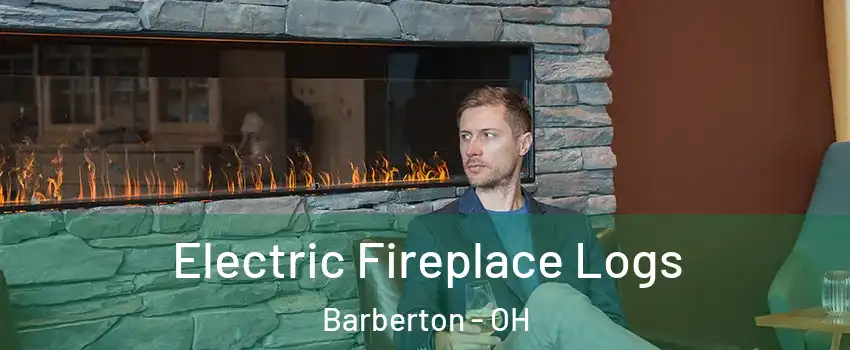  Electric Fireplace Logs Barberton - OH