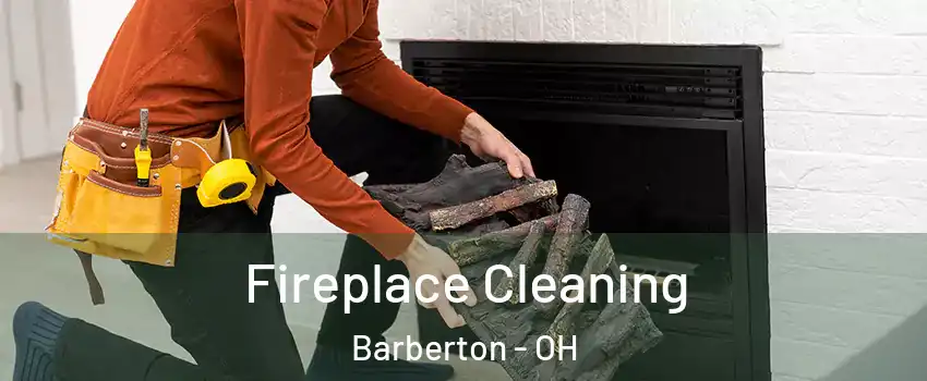  Fireplace Cleaning Barberton - OH