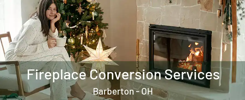  Fireplace Conversion Services Barberton - OH