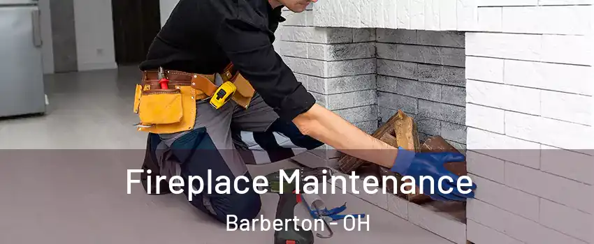  Fireplace Maintenance Barberton - OH