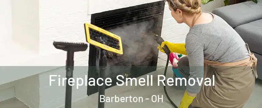  Fireplace Smell Removal Barberton - OH