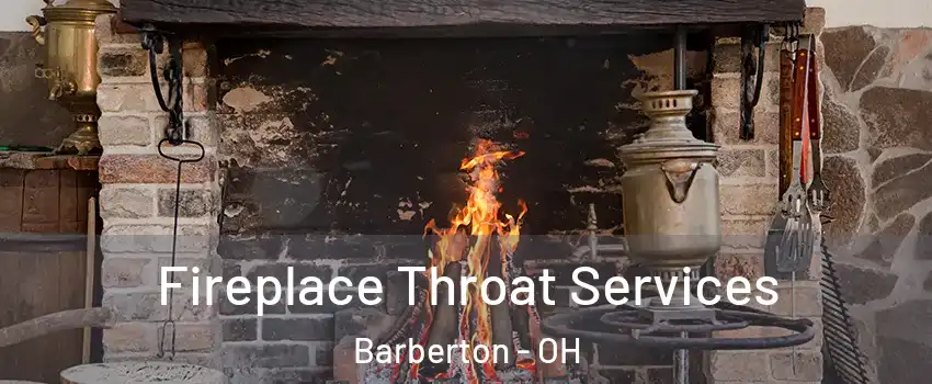  Fireplace Throat Services Barberton - OH