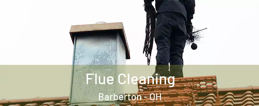  Flue Cleaning Barberton - OH
