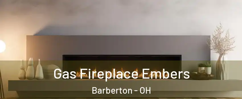  Gas Fireplace Embers Barberton - OH