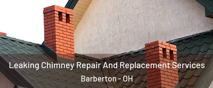  Leaking Chimney Repair And Replacement Services Barberton - OH