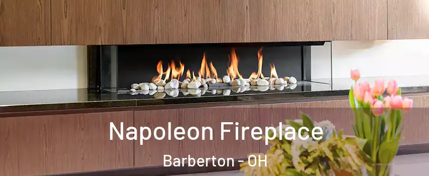  Napoleon Fireplace Barberton - OH
