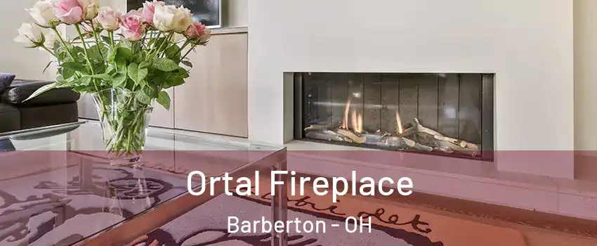  Ortal Fireplace Barberton - OH